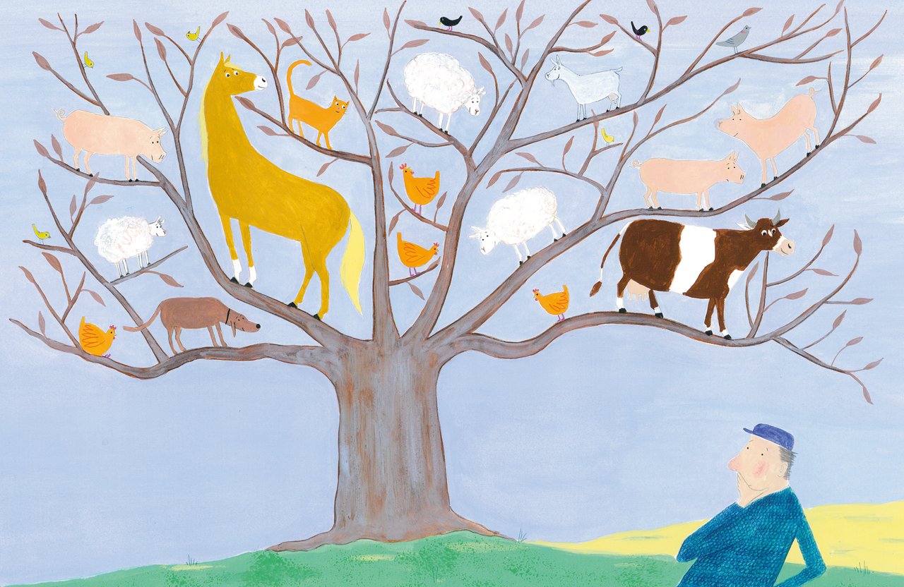 spinzi_weblog_boer_en_dierenarts_milja_praagman_pim_lammers